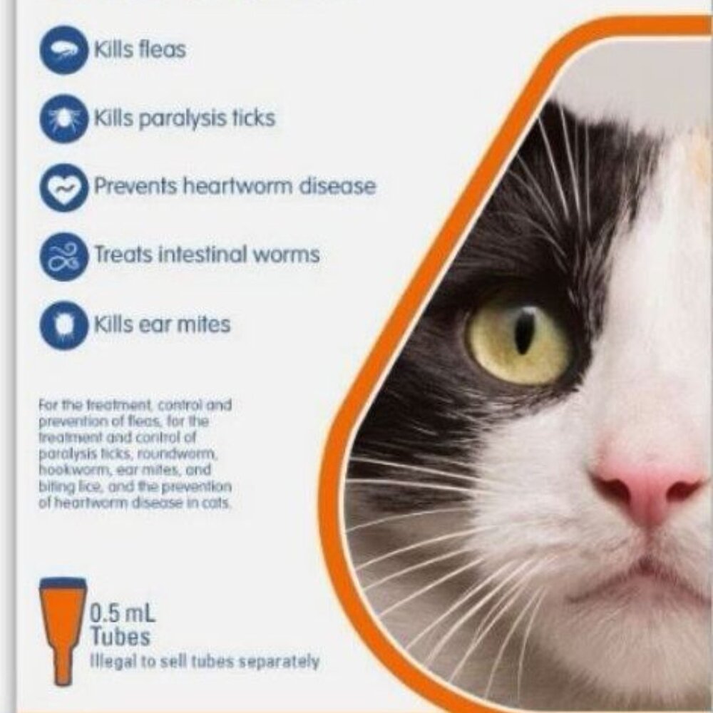 Revolution Plus Medium Cat 2.6-5Kg-5.6-11 lbs 6 Doses - Picture 2 of 2